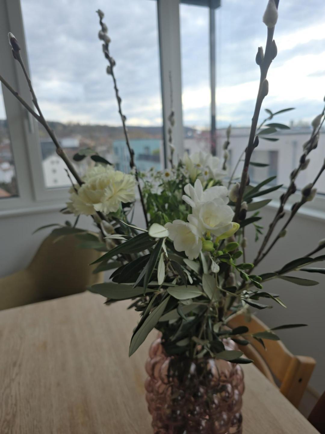 Stadtnahes Gaestezimmer Im Penthouse Bei Esi 蒂宾根 外观 照片